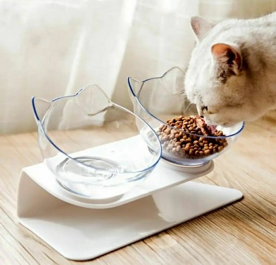 Food & Water Bowls - A