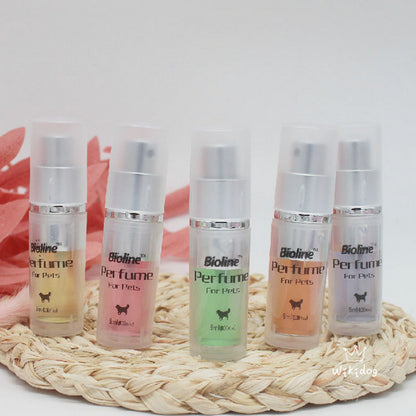 Perfume 9ml