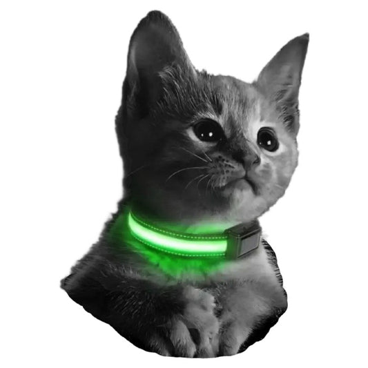 Pet LED Collar