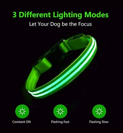 Pet LED Collar