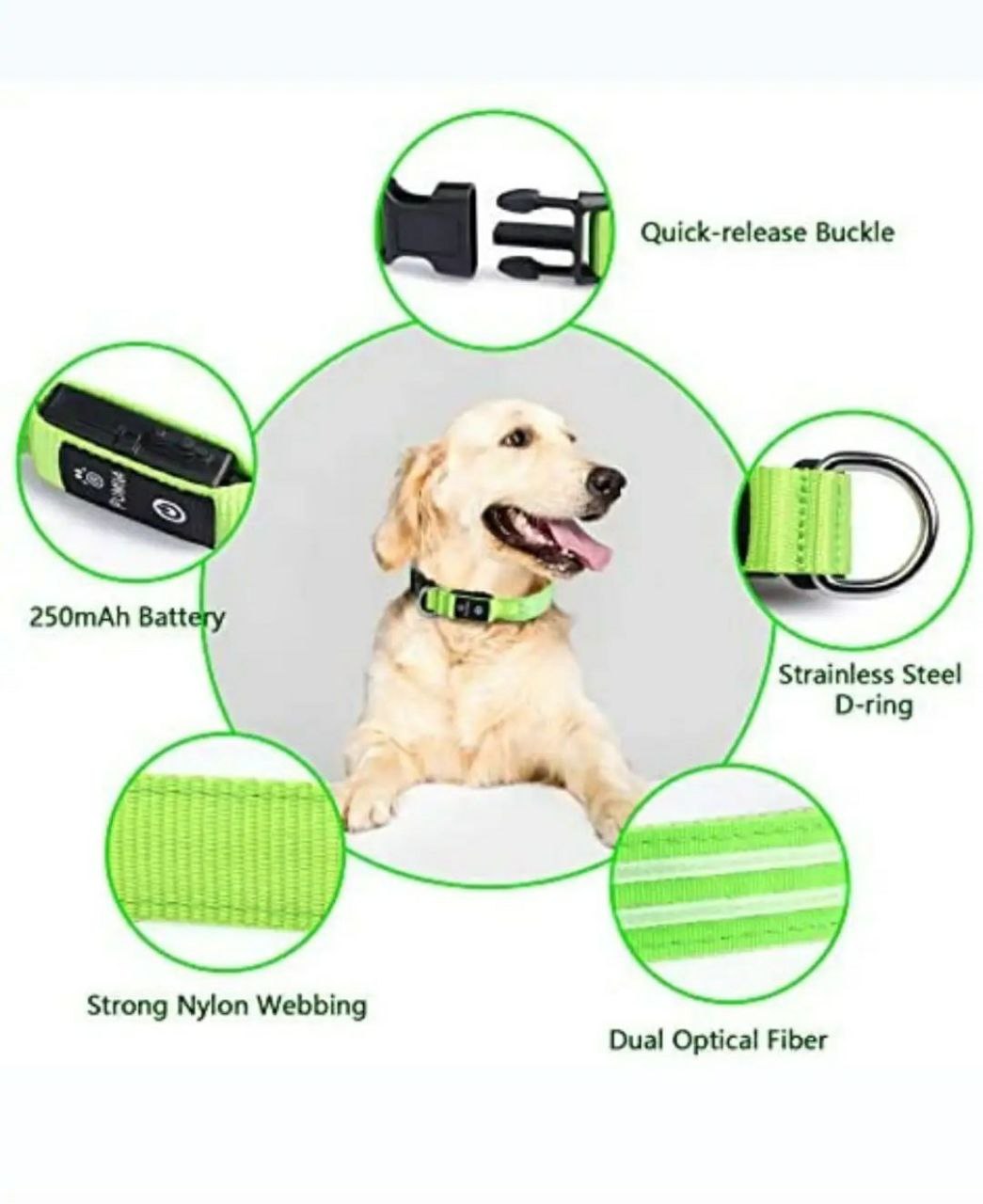 Pet LED Collar