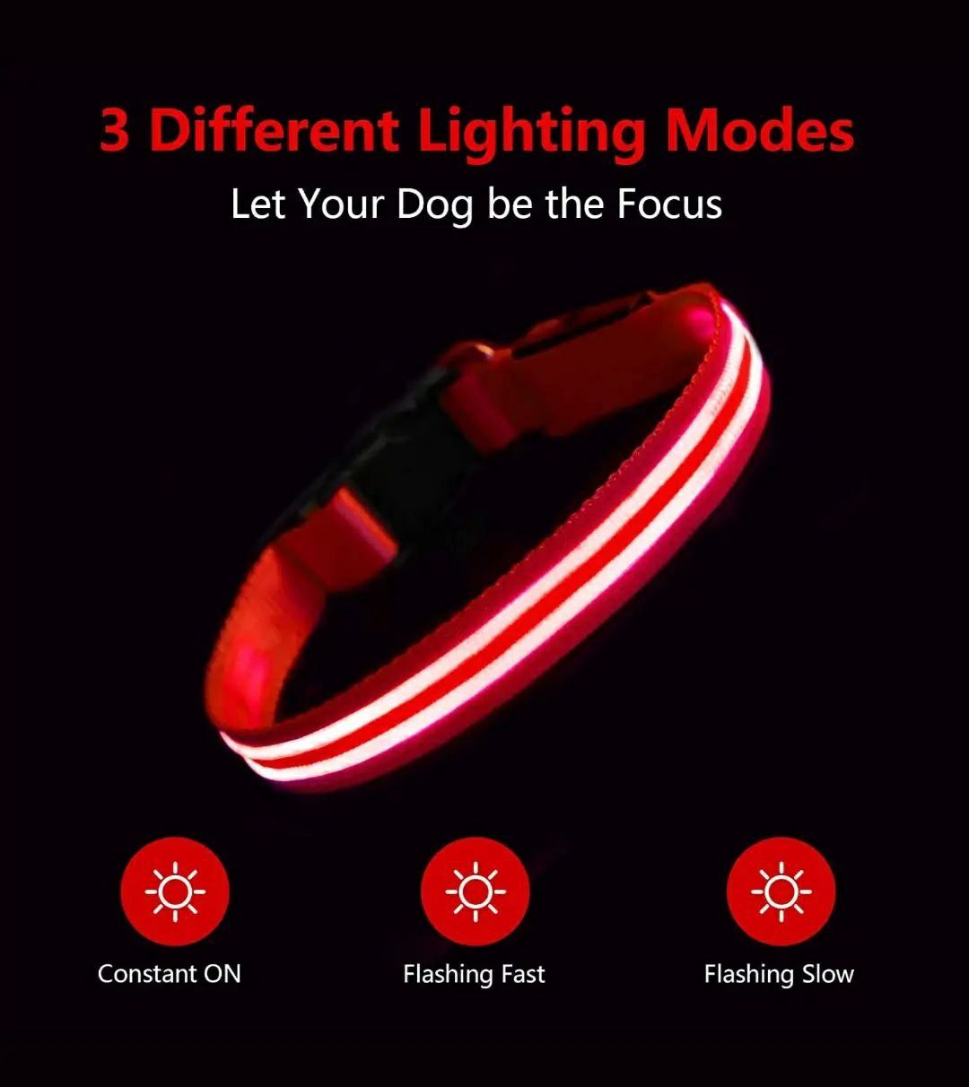 Pet LED Collar