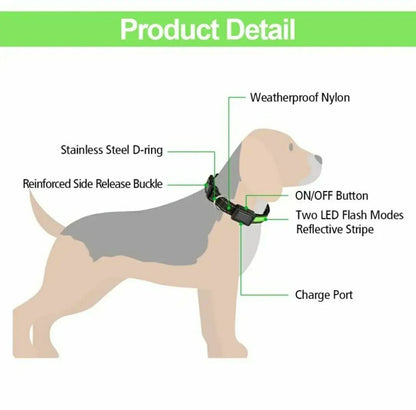 Pet LED Collar