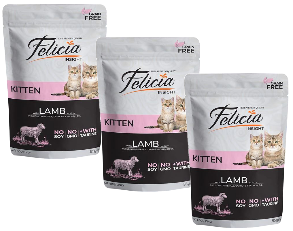 Felicia Kitten Lamb 12X