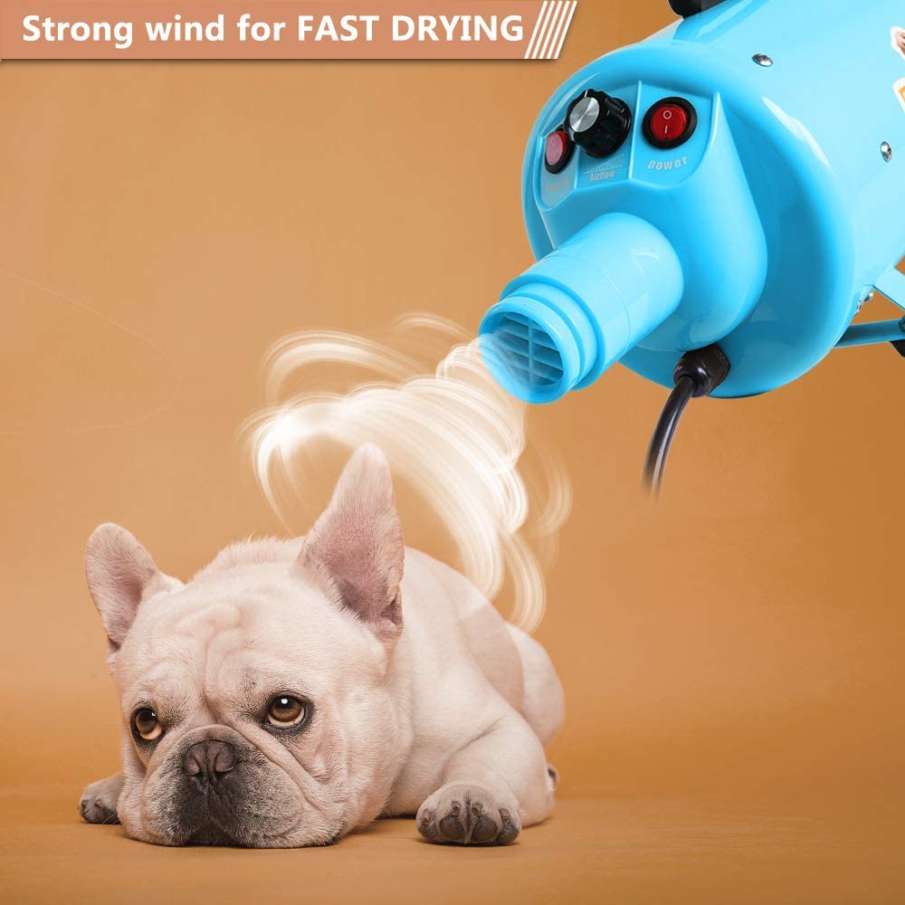 Pet Dryer