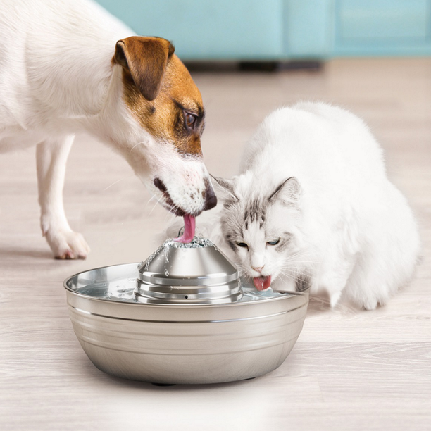 Drinking Fountain for Cats and Dogs