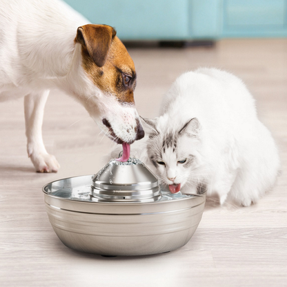 Drinking Fountain for Cats and Dogs