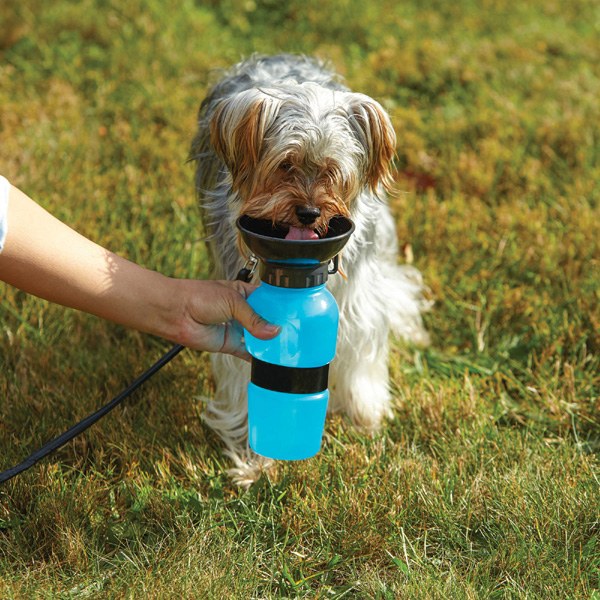 Water Bowl Bottle