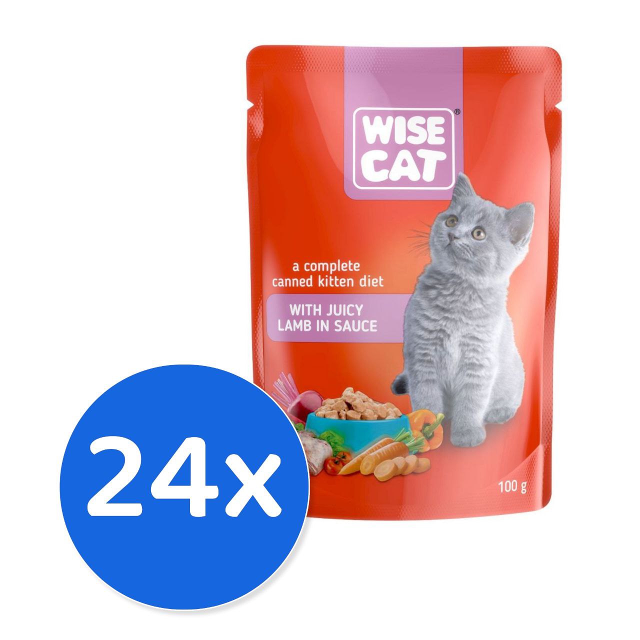 Wise Cat Lamb 24X