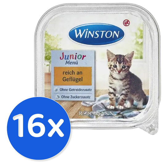 Winston Junior 16X