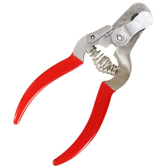 Nail Scissers and Clipper