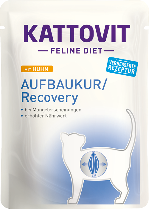 Kattovit Restorative Chicken 85g