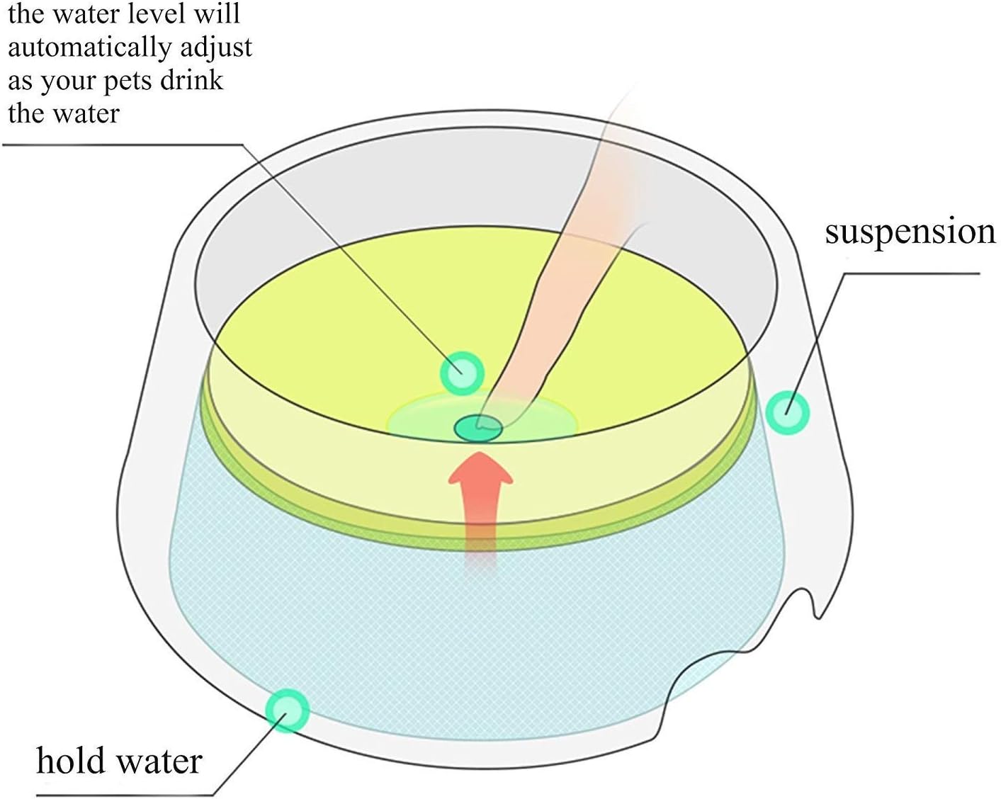 Anti-splash Water Bowl 1L