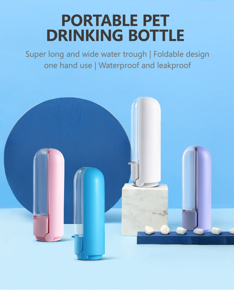 Portable Water Bottle