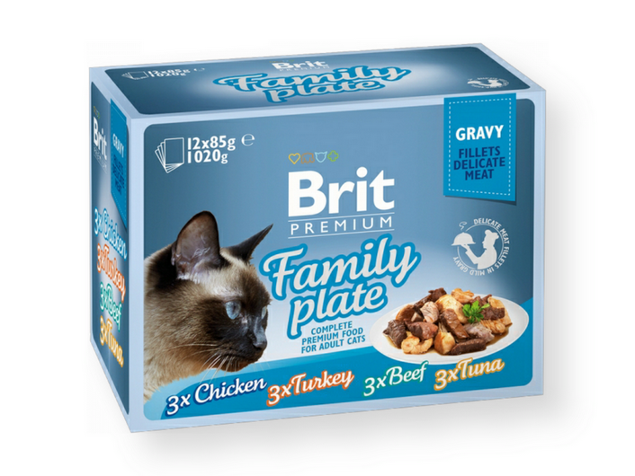 Brit Family plate C 12X