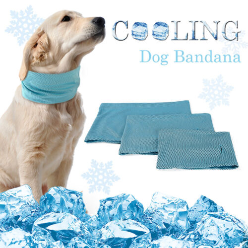 Cooling Bandana - M