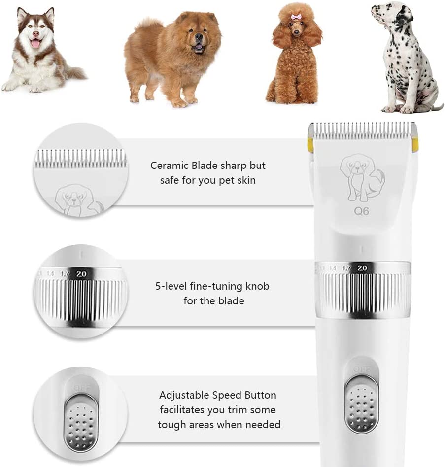 Q6 Pet Clippers