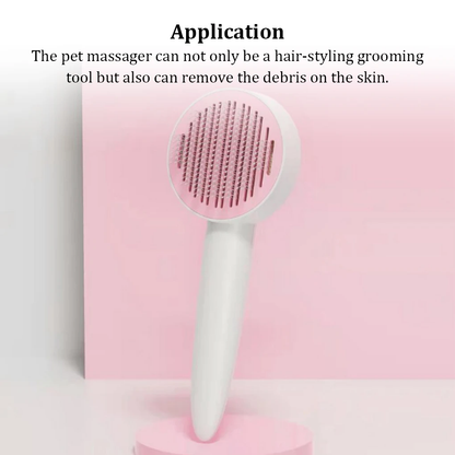 Hair Removal Brush