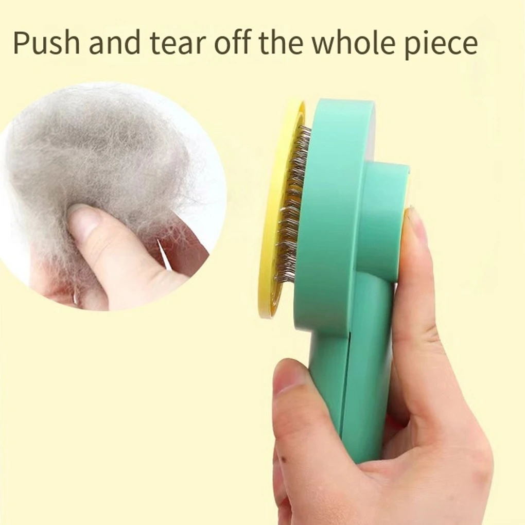 Hair Removal Brush