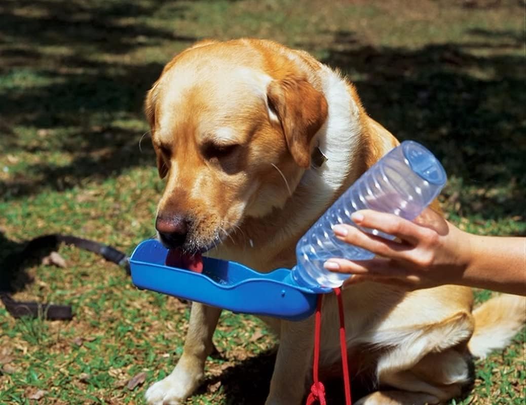 Portable Water Drinking Bottle 500ml