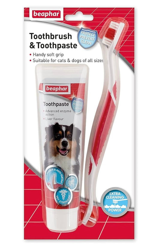 Puppy Dental Kit 50g