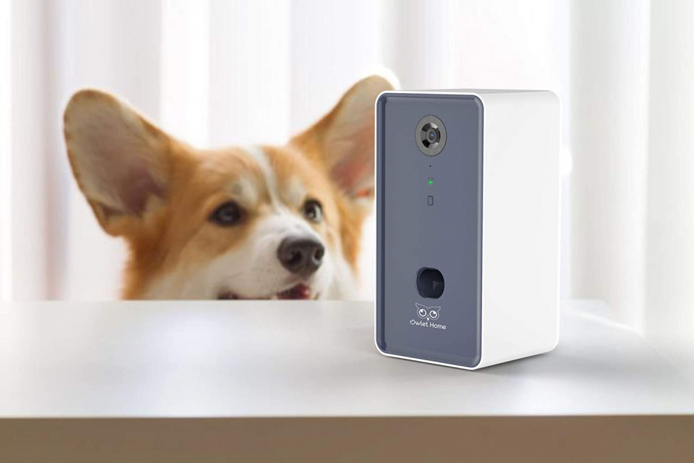 Owlet Home Smart Dog Camera