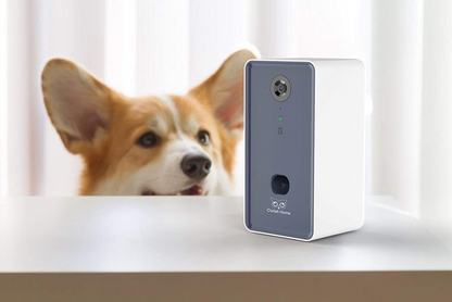 Owlet Home Smart Dog Camera