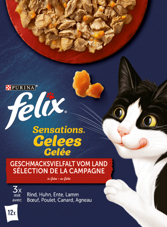 FELIX Variety of Flavors 12X