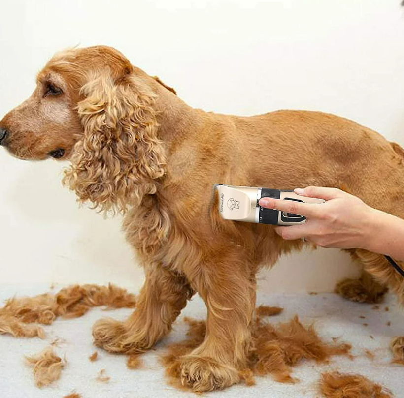 Pet Clipper