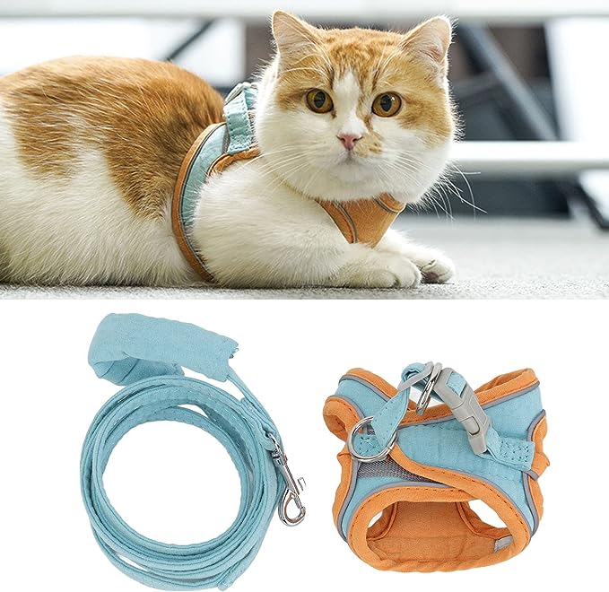 Cat Harness M