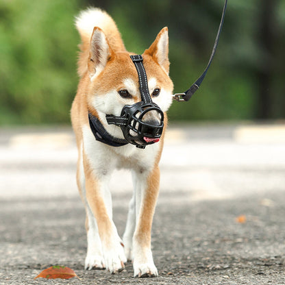 Dog Muzzle