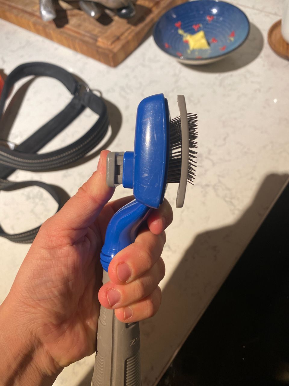 Pet Grooming Tool