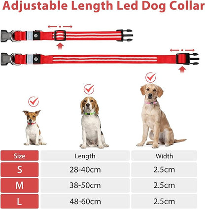 طوق LED من PUMAILA مقاس S