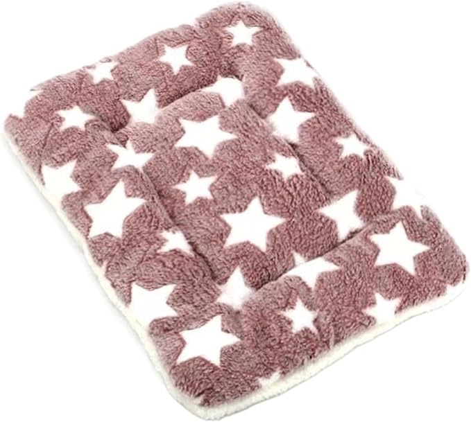 Pet Pad XS