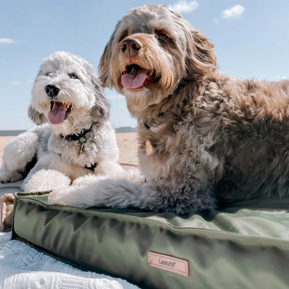 Waterproof Dog Bed 75cm