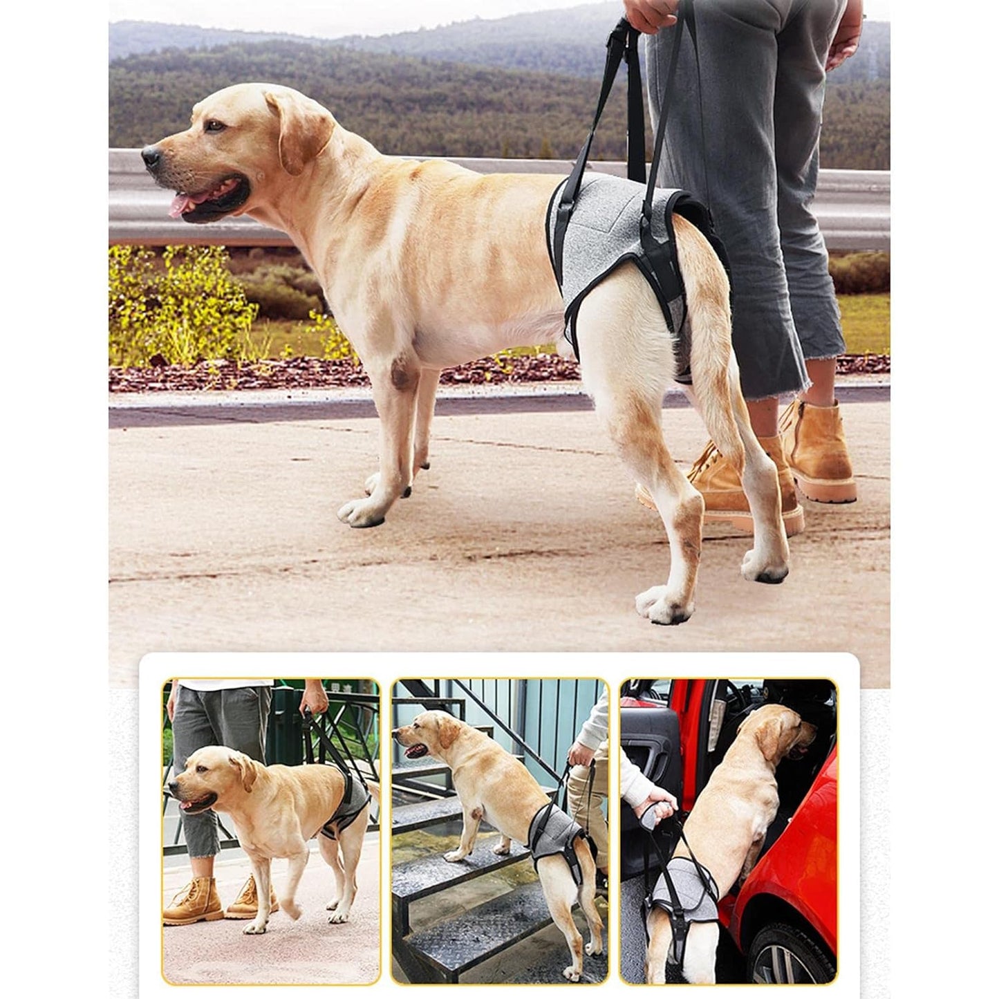 Enakshi Dog Lifting Support XL