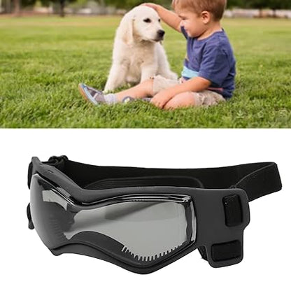 Dog Goggles S