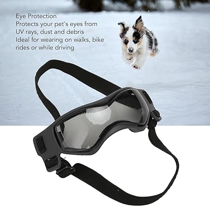 Dog Goggles S