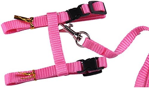 Collar Lead Leash