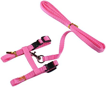 Collar Lead Leash