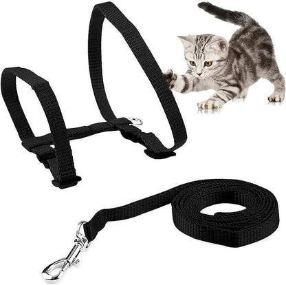 Cat Collar