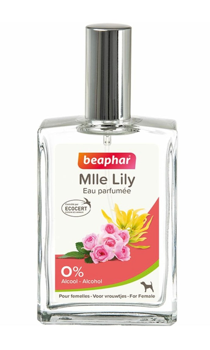 Perfume for Females 50ml