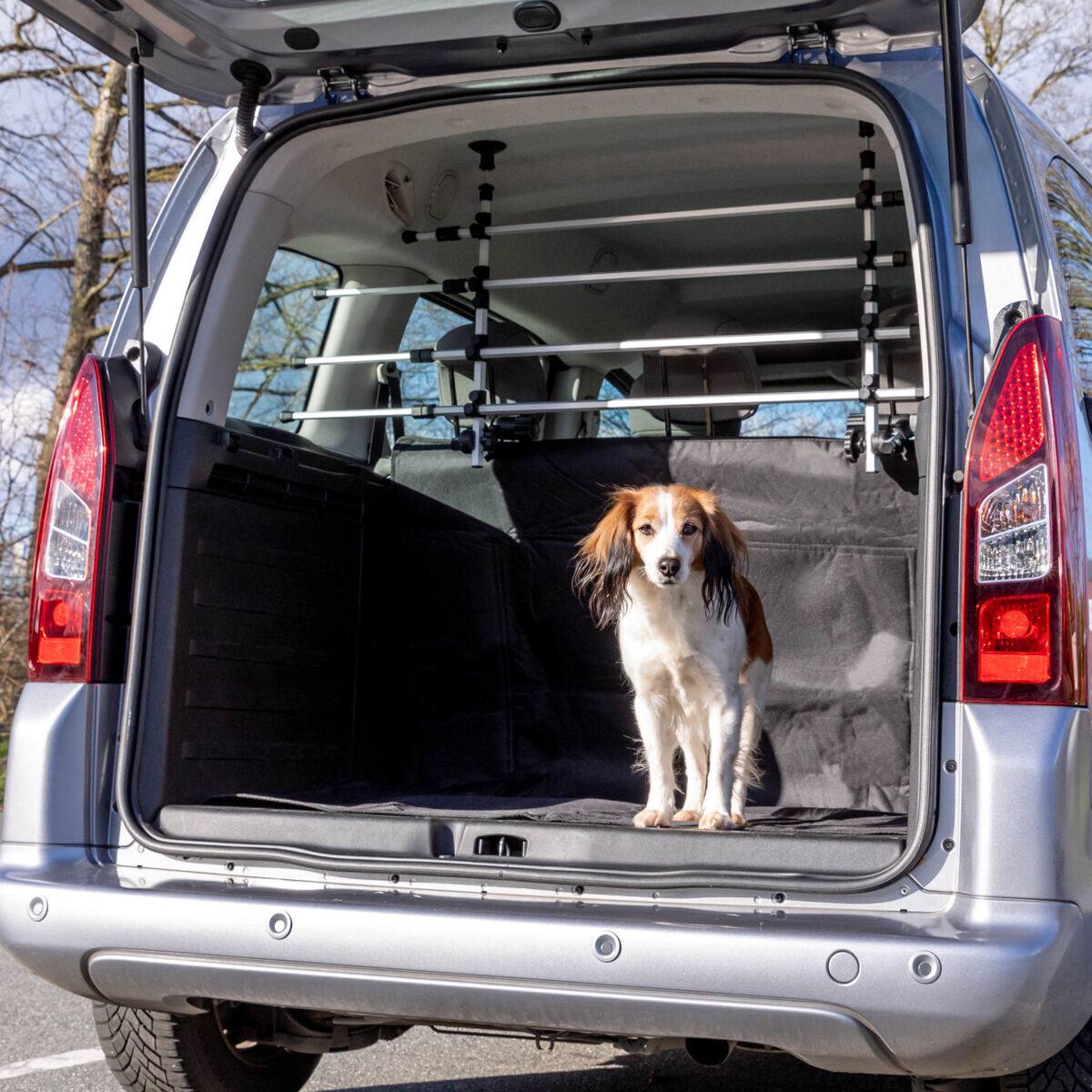 Trixie Pet Barrier for Vehicles 172cm