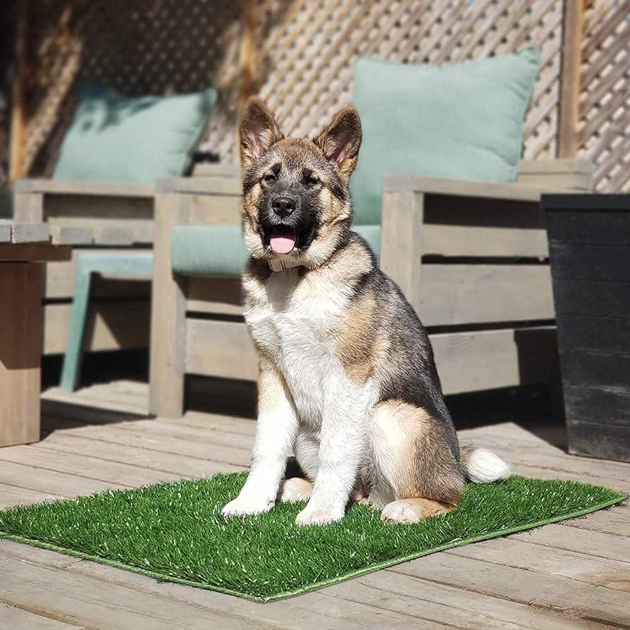 Hompet Dog Grass Pads 28cm