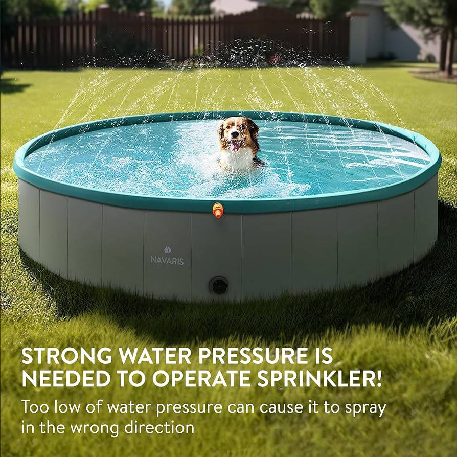 NAVARIS Dog Swimming Pool XL