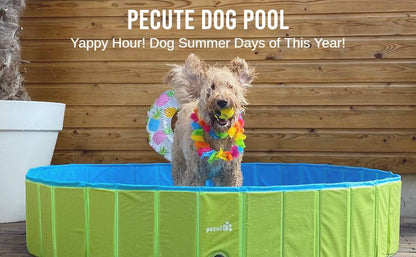 Pecute Dog Swimming Pool 160cm