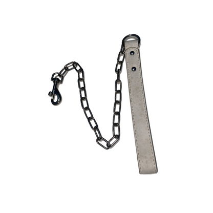 dog chain leash leather