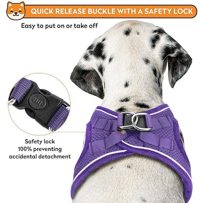 PWOD Dog Harness with Leash L