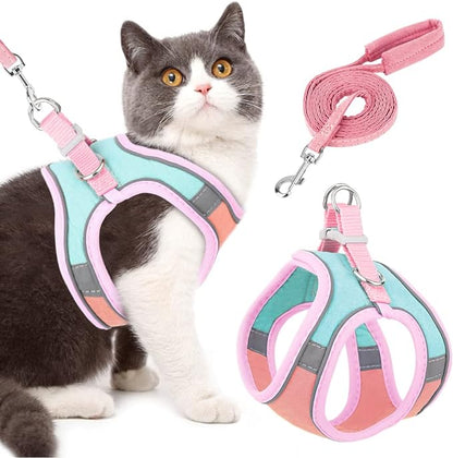 Cat Harness and Lead m