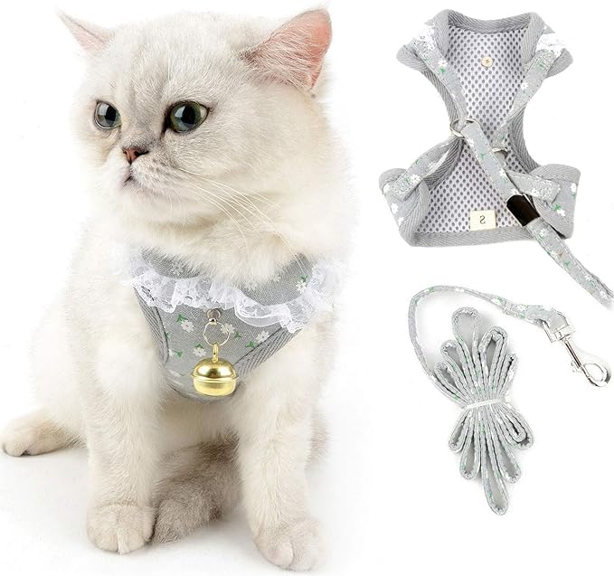 Universal Cat and Small Dog Harness and Leash S